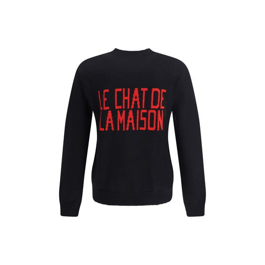 Il maglione del gatto di casa